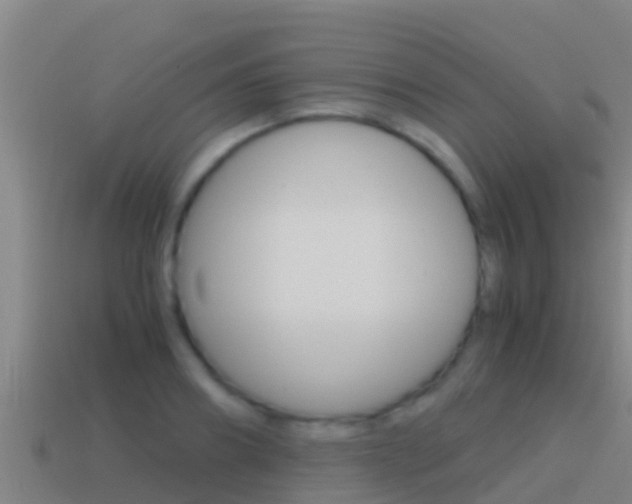 X0000114620890200910200959