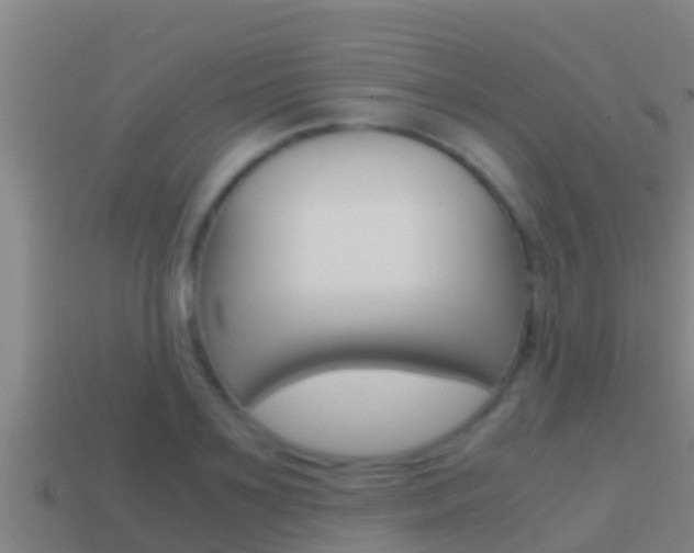 X0000114620891200910200959