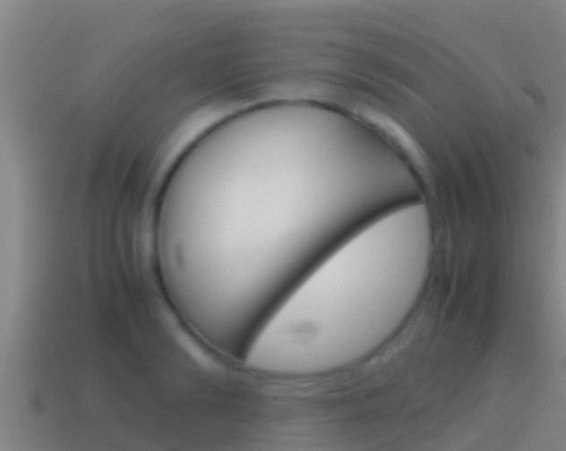 X0000114620894200910200959