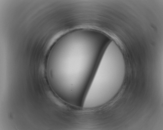 X0000114620896200910200959