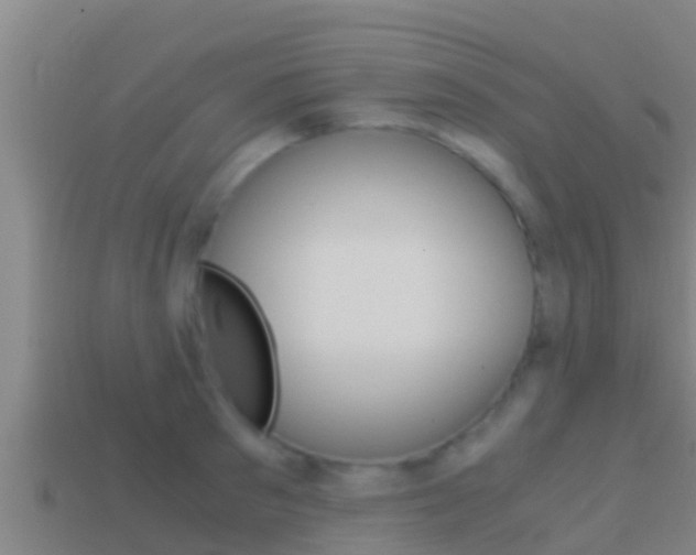 X0000114620897200910200959