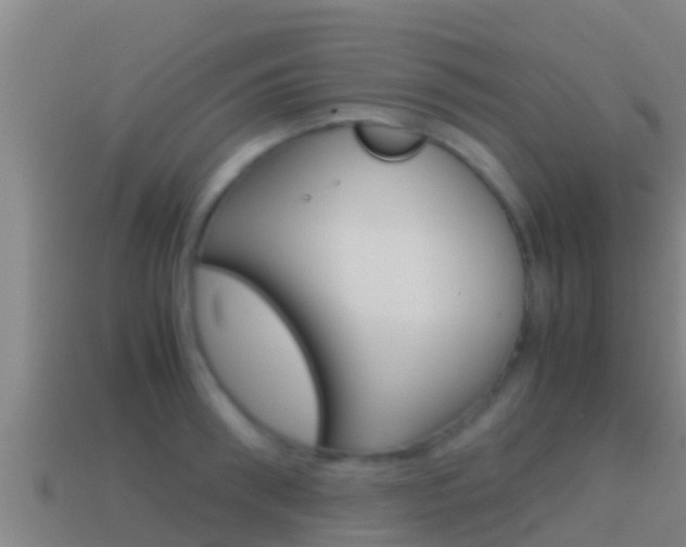 X0000114620898200910200959