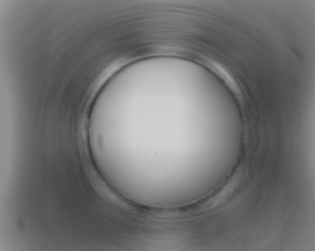 X0000114620899200910200959