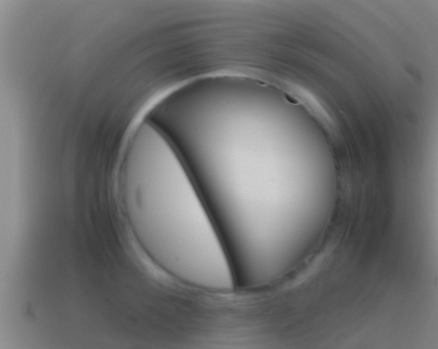 X0000114620900200910200959