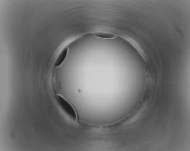 X0000114620901200910200959
