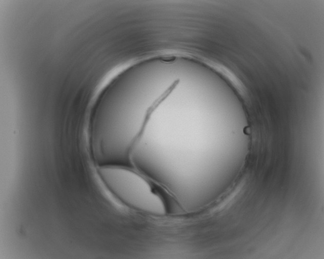 X0000114620902200910200959