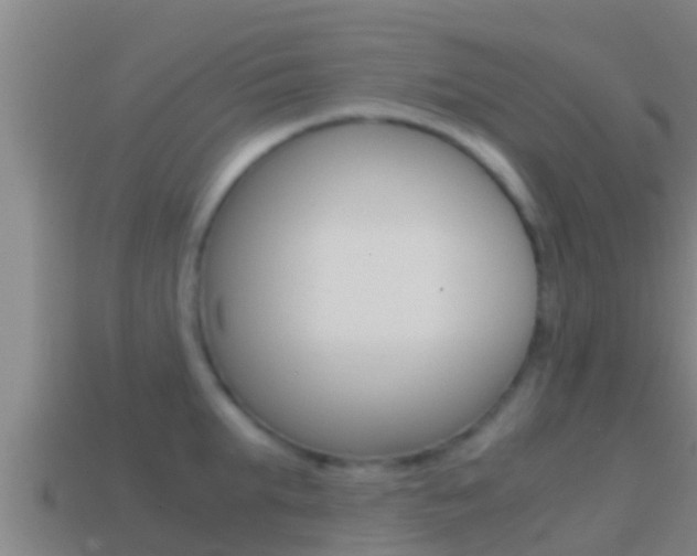 X0000114620903200910200959