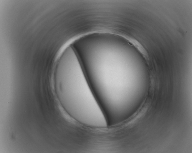 X0000114620904200910200959