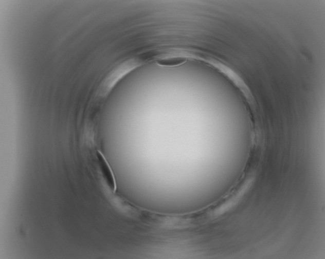 X0000114620905200910200959