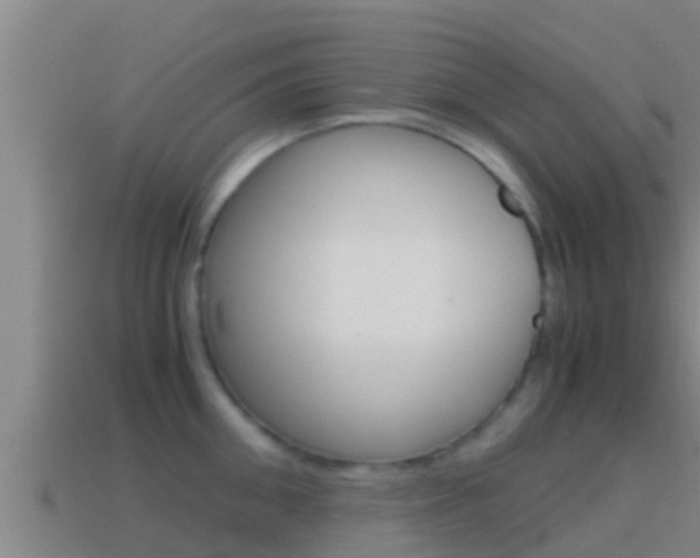 X0000114620906200910200959