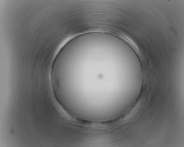 X0000114620907200910200959