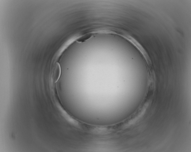 X0000114620909200910200959