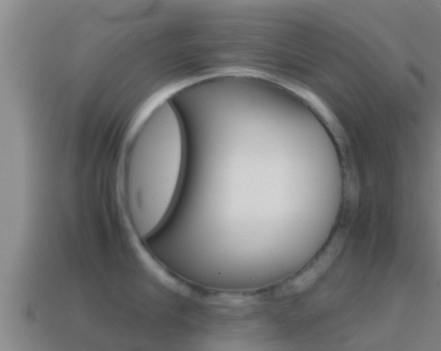 X0000114620910200910200959
