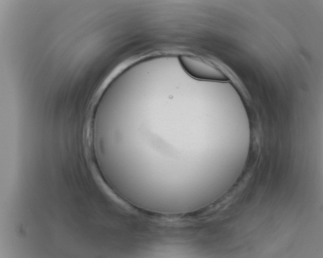 X0000114620911200910200959