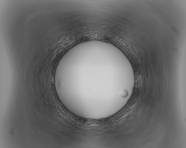 X0000114620913200910200958