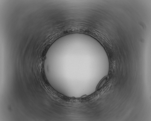 X0000114620914200910200958