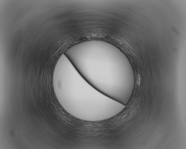 X0000114620915200910200958