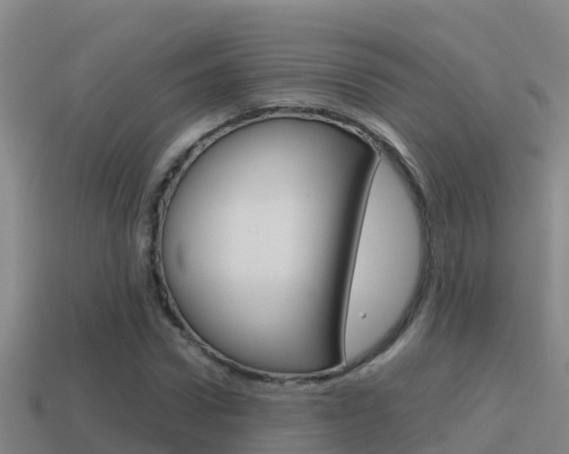 X0000114620922200910200958
