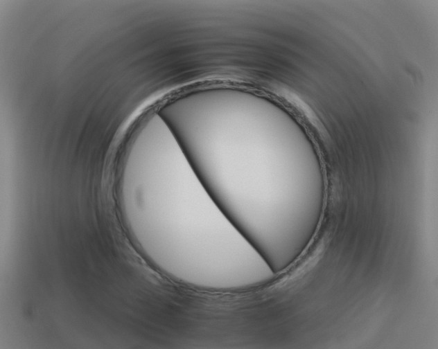 X0000114620923200910200958