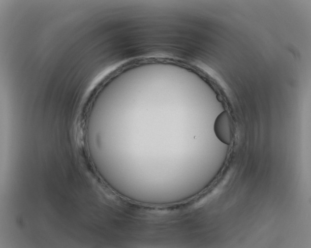 X0000114620925200910200958