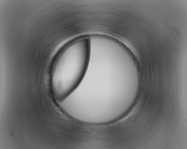 X0000114620926200910200958