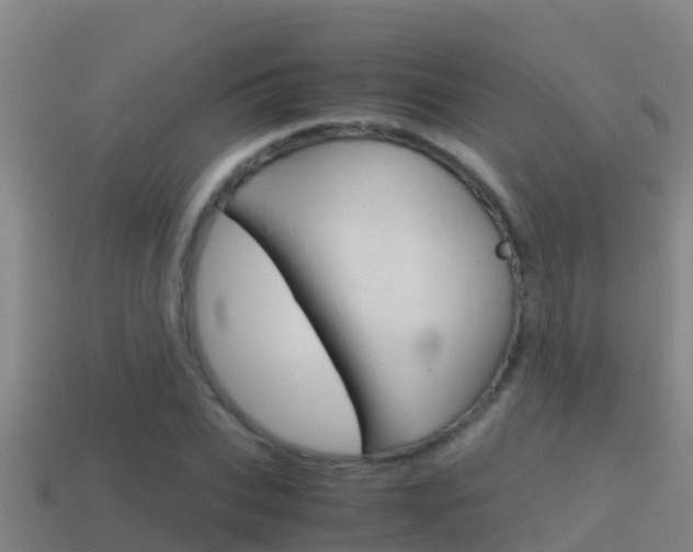 X0000114620927200910200958