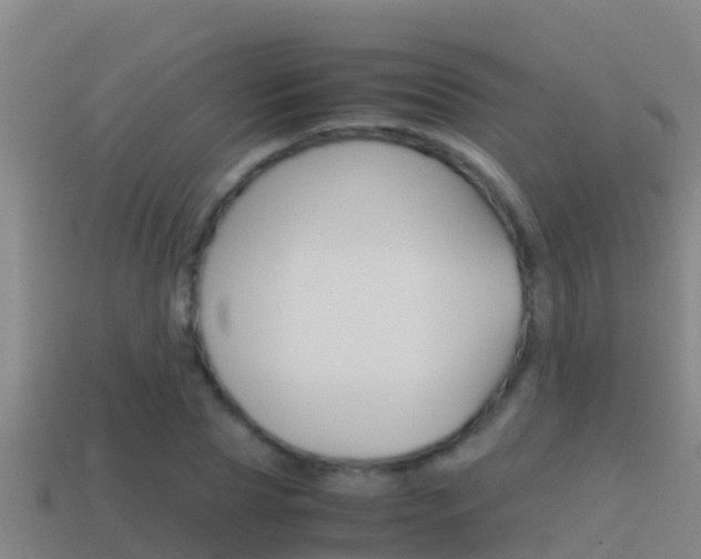 X0000114620929200910200958