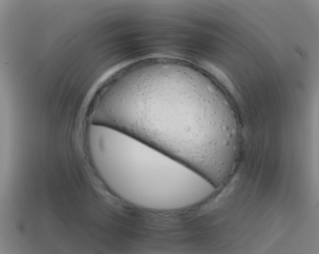 X0000114620931200910200959