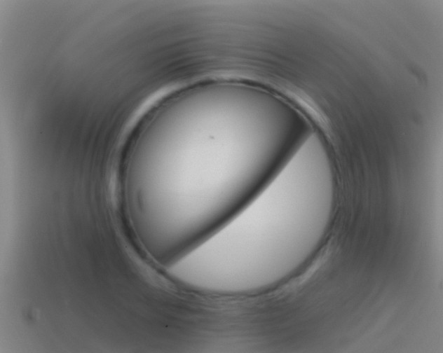 X0000114620934200910200959