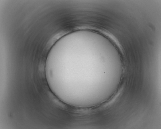 X0000114620937200910200959