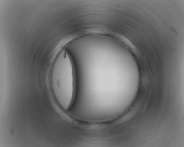 X0000114620938200910200959