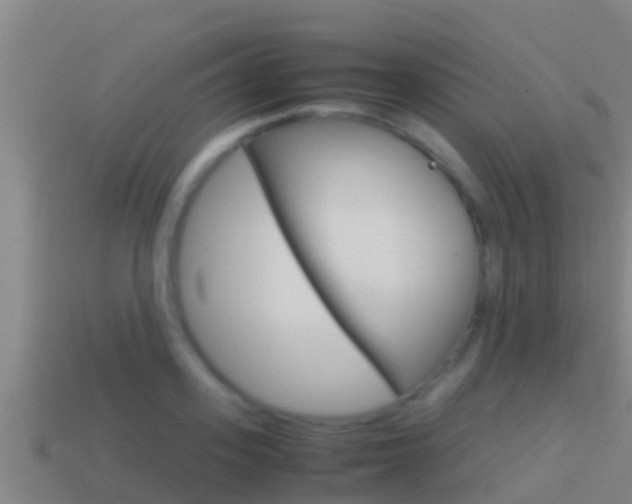 X0000114620939200910200959