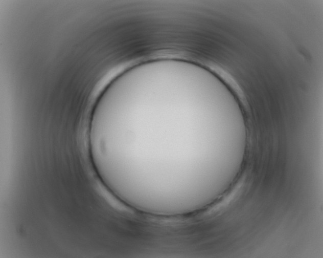 X0000114620941200910200959