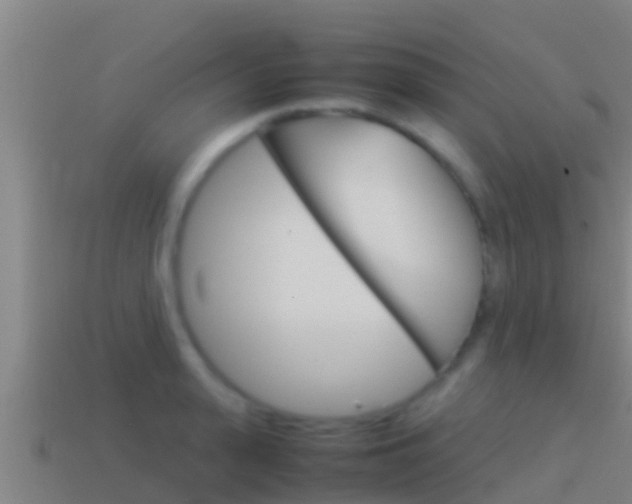 X0000114620943200910200959