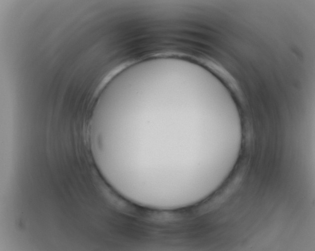 X0000114620945200910200959
