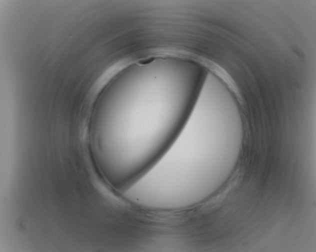 X0000114620946200910200959