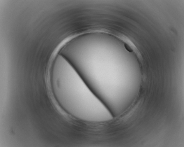 X0000114620947200910200959