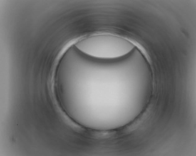 X0000114620949200910200959