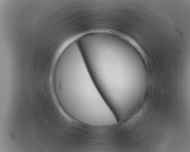 X0000114620951200910200959