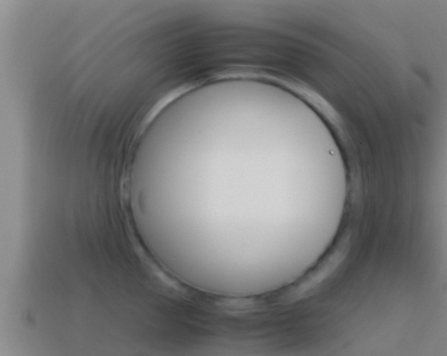 X0000114620953200910200959