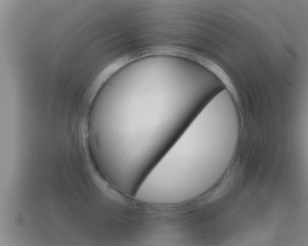 X0000114620954200910200959