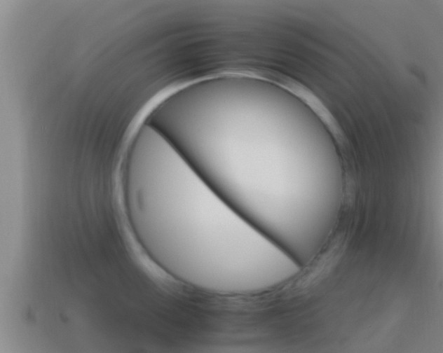 X0000114620955200910200959