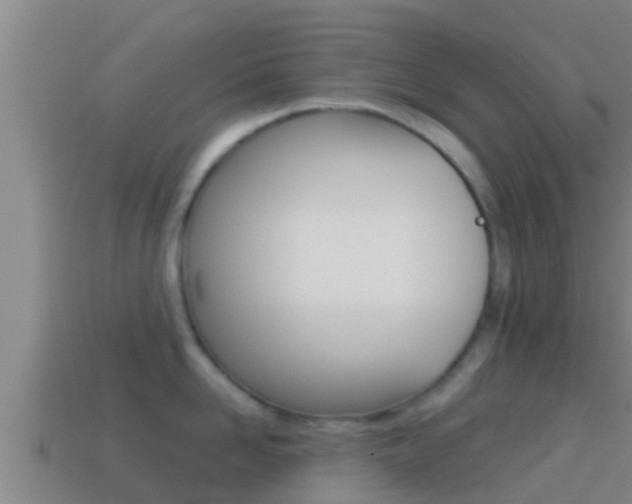 X0000114620958200910200959
