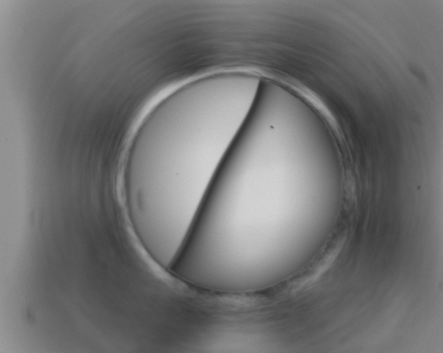 X0000114620959200910200959