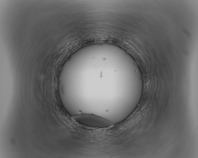 X0000114620961200910200958