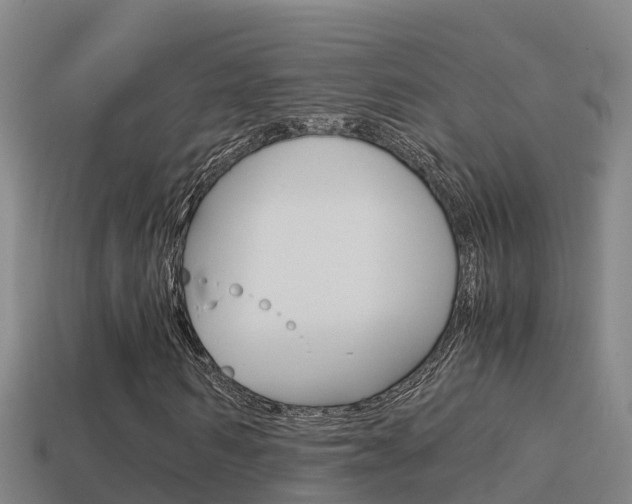 X0000114620962200910200958