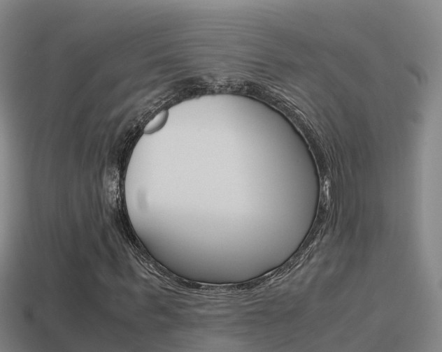 X0000114620963200910200958