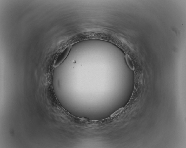 X0000114620965200910200958