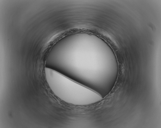 X0000114620968200910200958