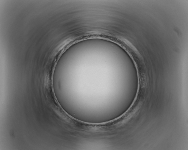 X0000114620969200910200958